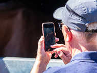 PN070822-158 - Paul Nicholls Stable Visit